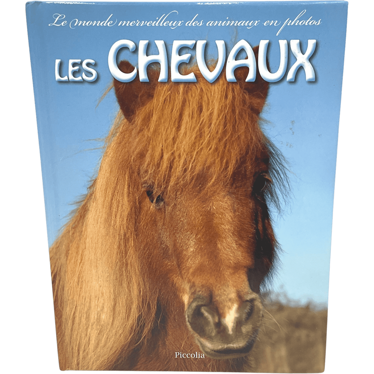 Les chevaux - KIDIBAM