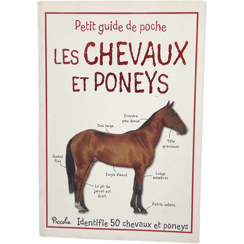 Les chevaux et poneys - KIDIBAM