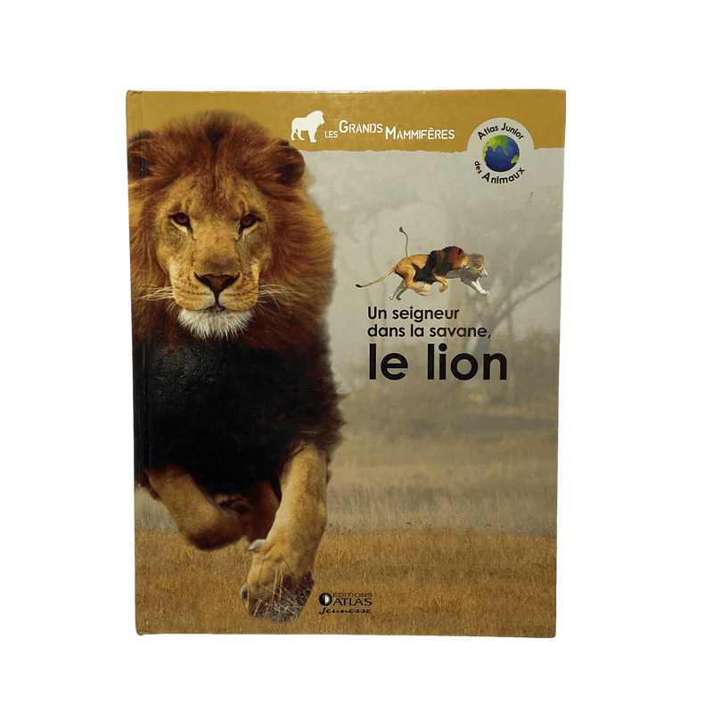 Les grands mammifères - Un seigneur dans la savane - Le lion - KIDIBAM