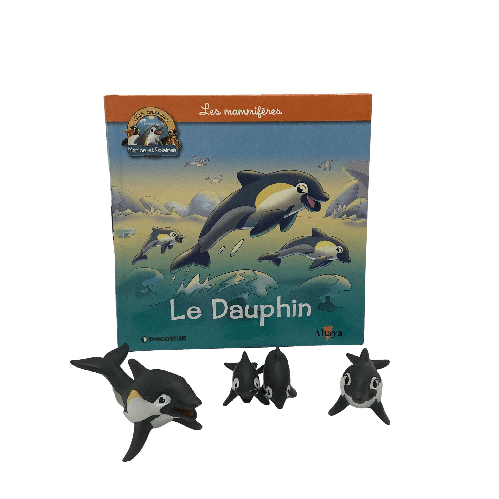 Les mammifères - Le Dauphin - KIDIBAM