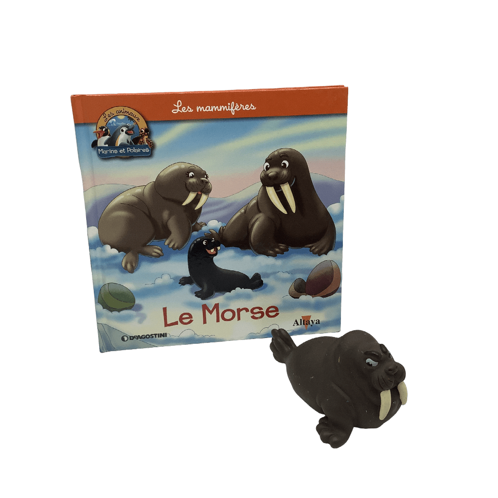 Les mammifères - Le Morse - KIDIBAM