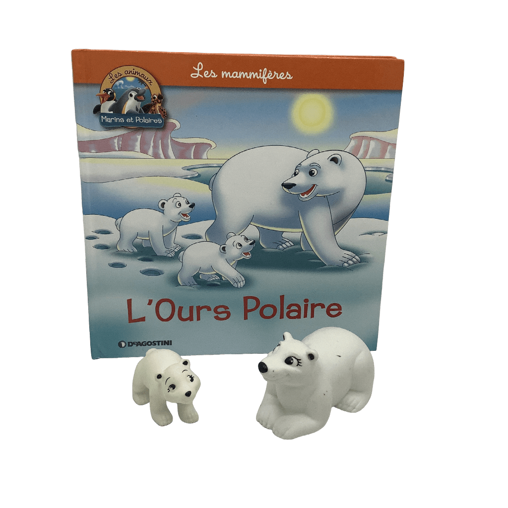 Les mammifères - L'Ours Polaire - KIDIBAM