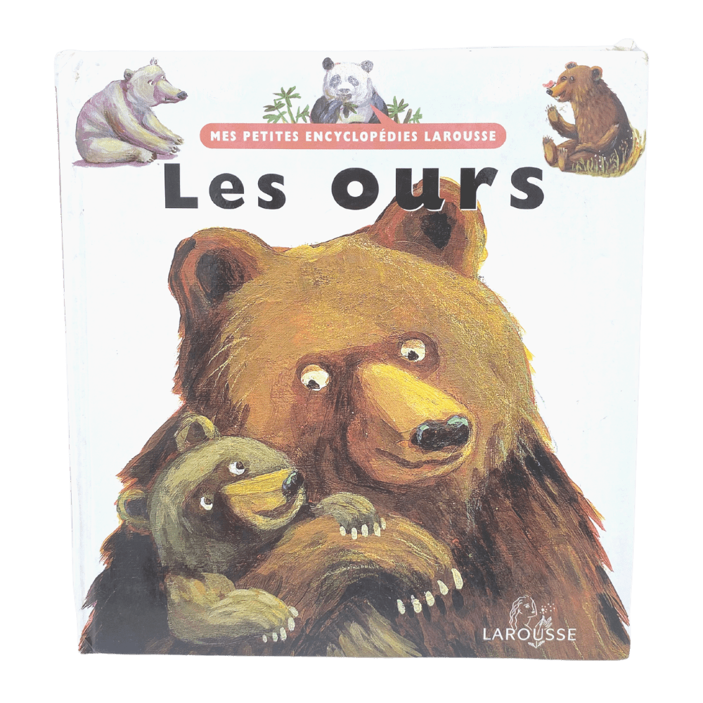 Les ours - KIDIBAM