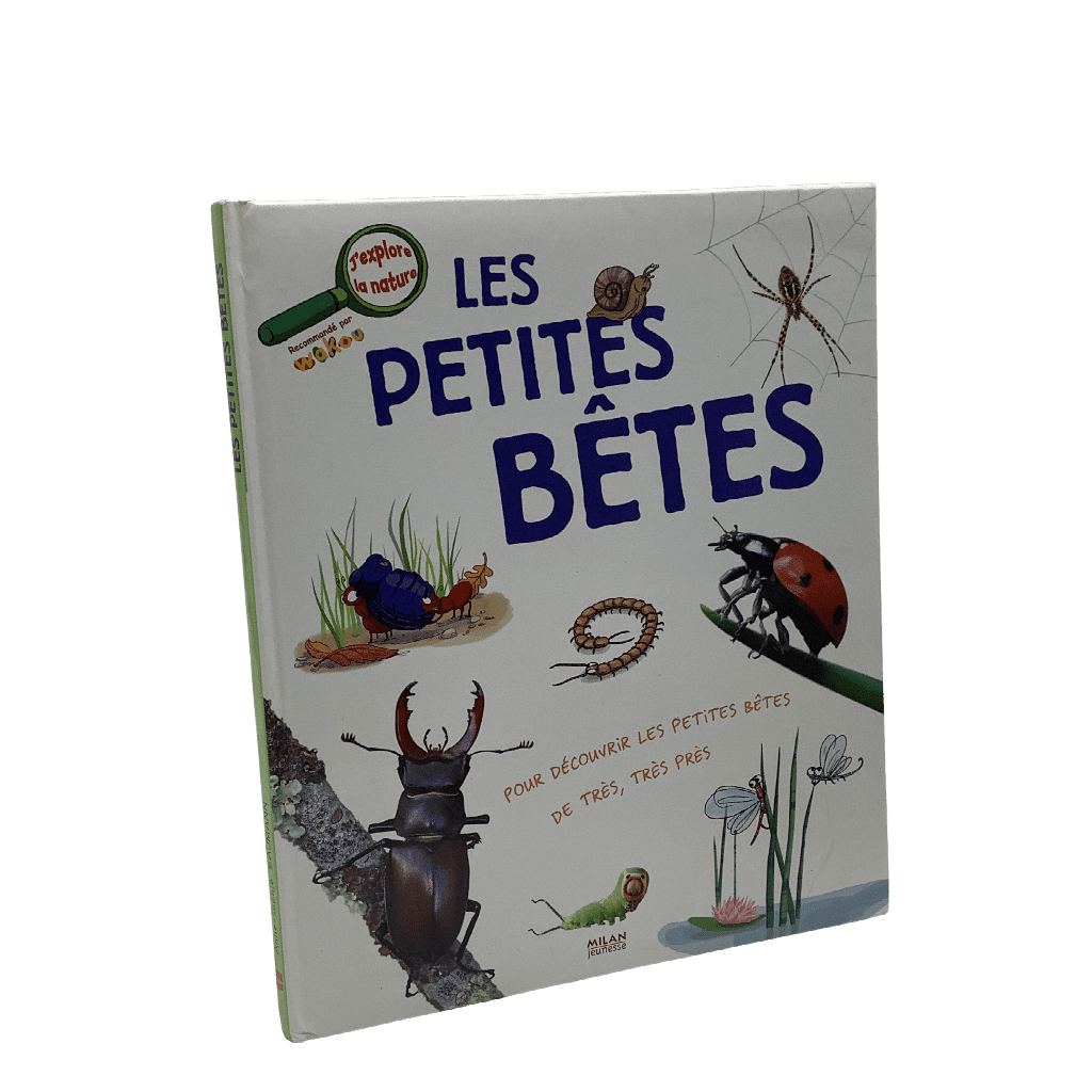 Les petites bêtes - KIDIBAM