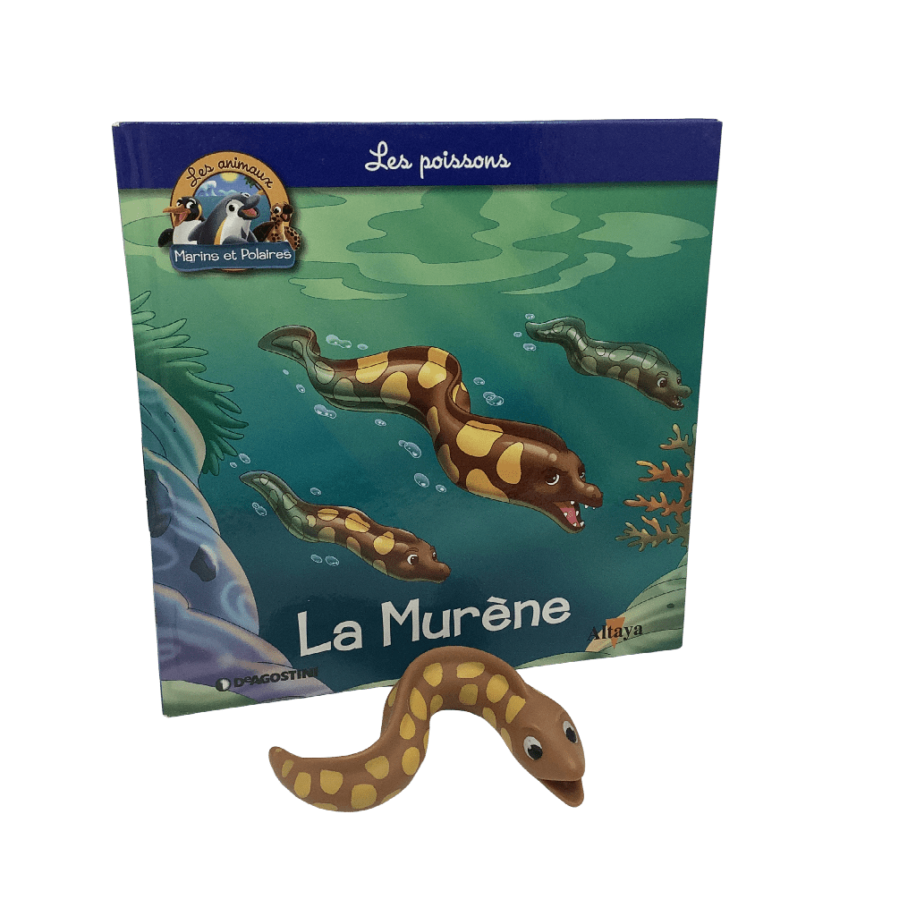 Les poissons - La Murène - KIDIBAM