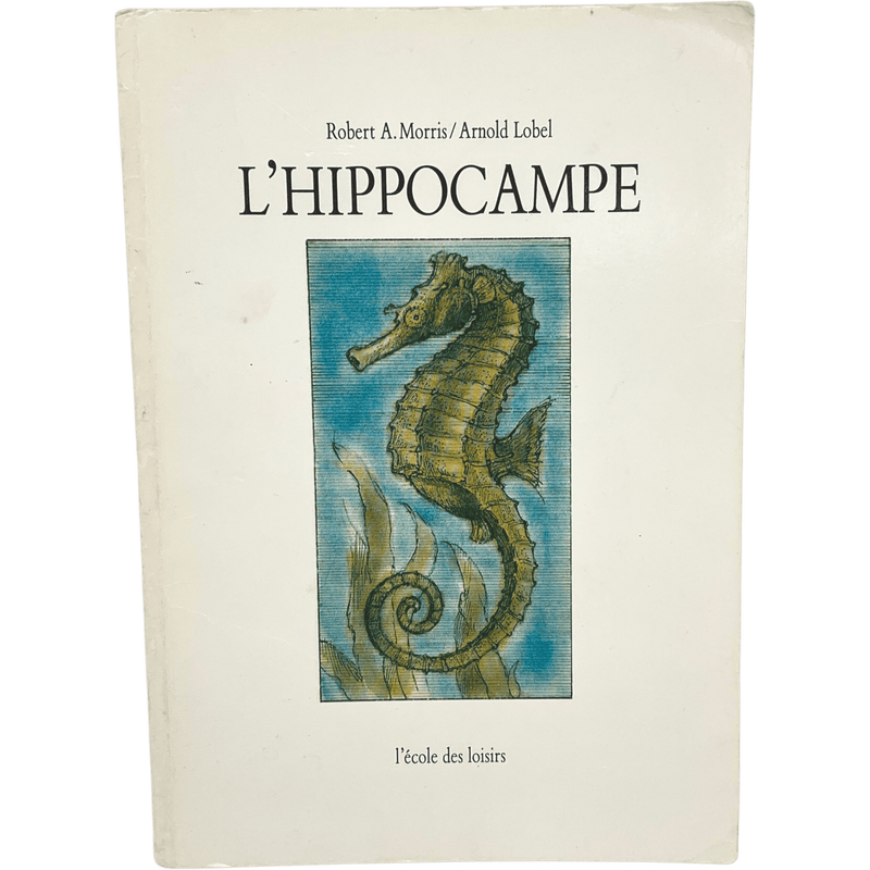 L'hippocampe - KIDIBAM