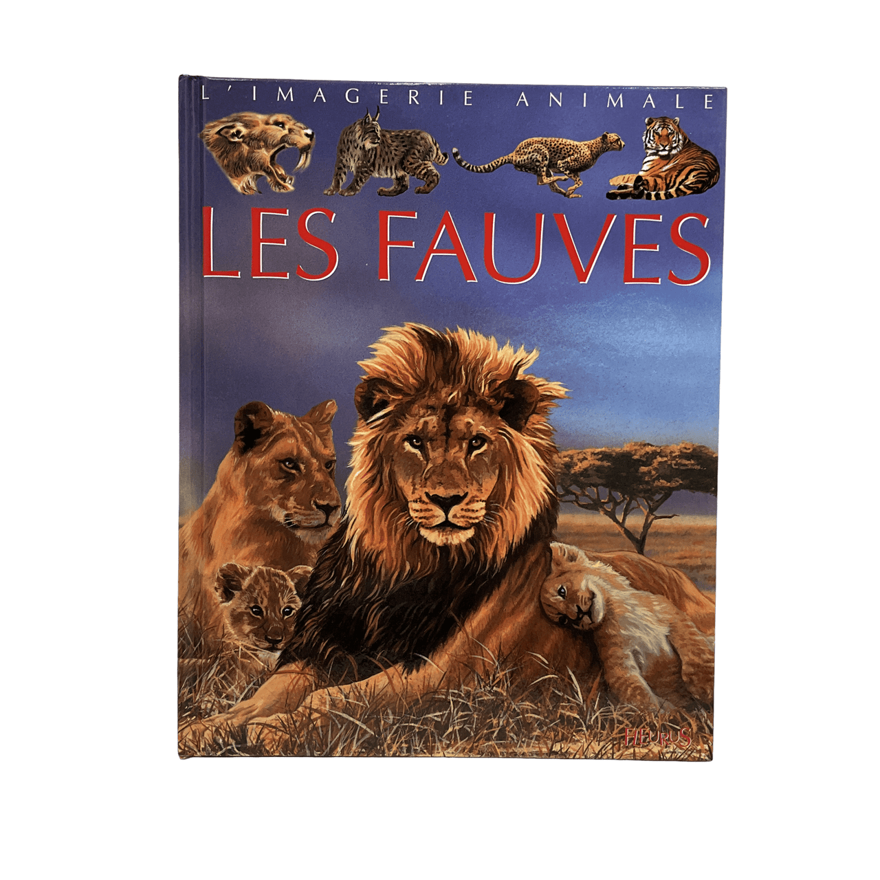 L'imagerie animale - Les fauves - KIDIBAM