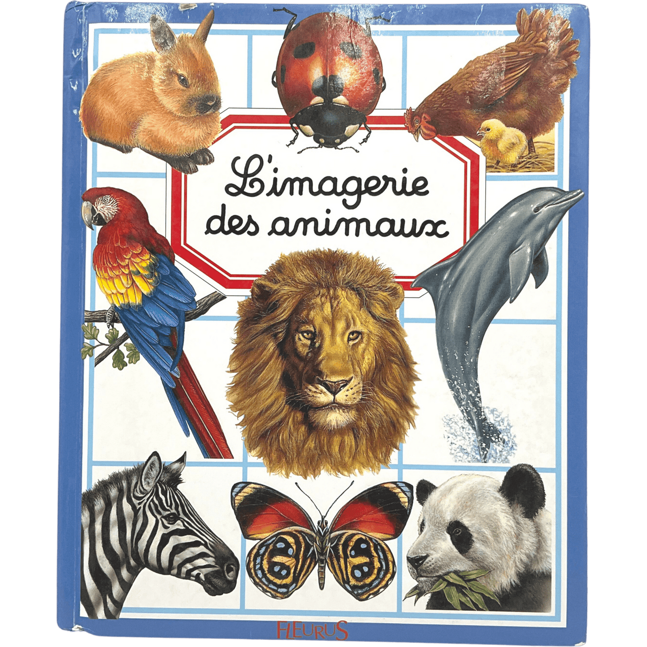 L'imagerie des Animaux - KIDIBAM
