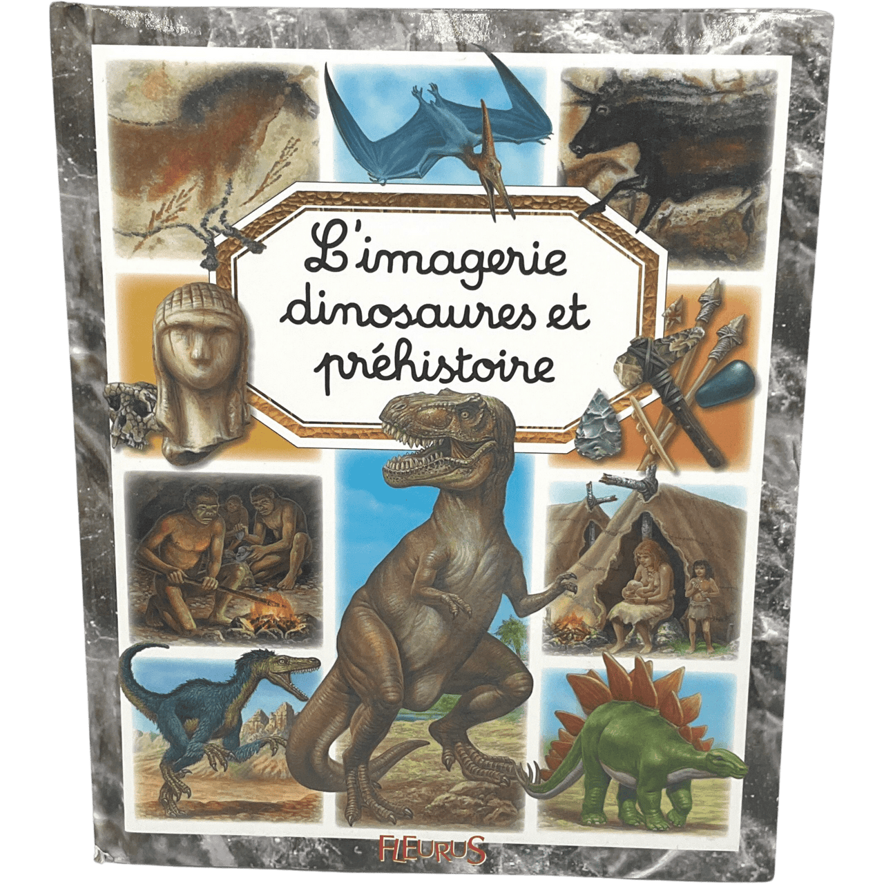 L'imagerie dinosaures et préhistoire - KIDIBAM
