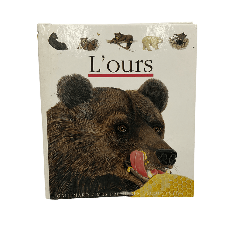 L'ours - KIDIBAM