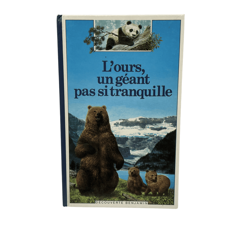 L'ours, un géant pas si tranquille - KIDIBAM