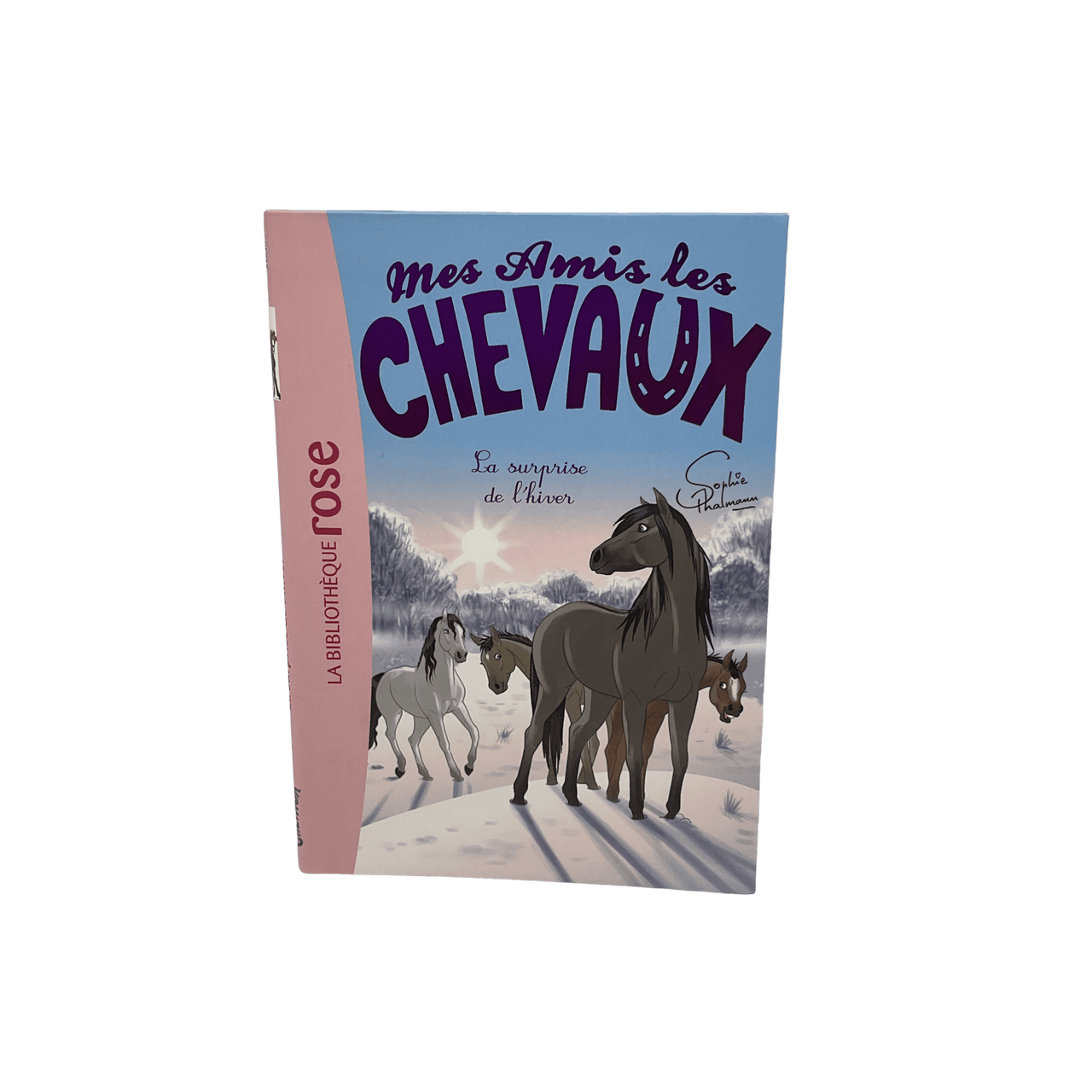 Mes amis les chevaux - Tome 7 - La surprise de l'hiver - KIDIBAM