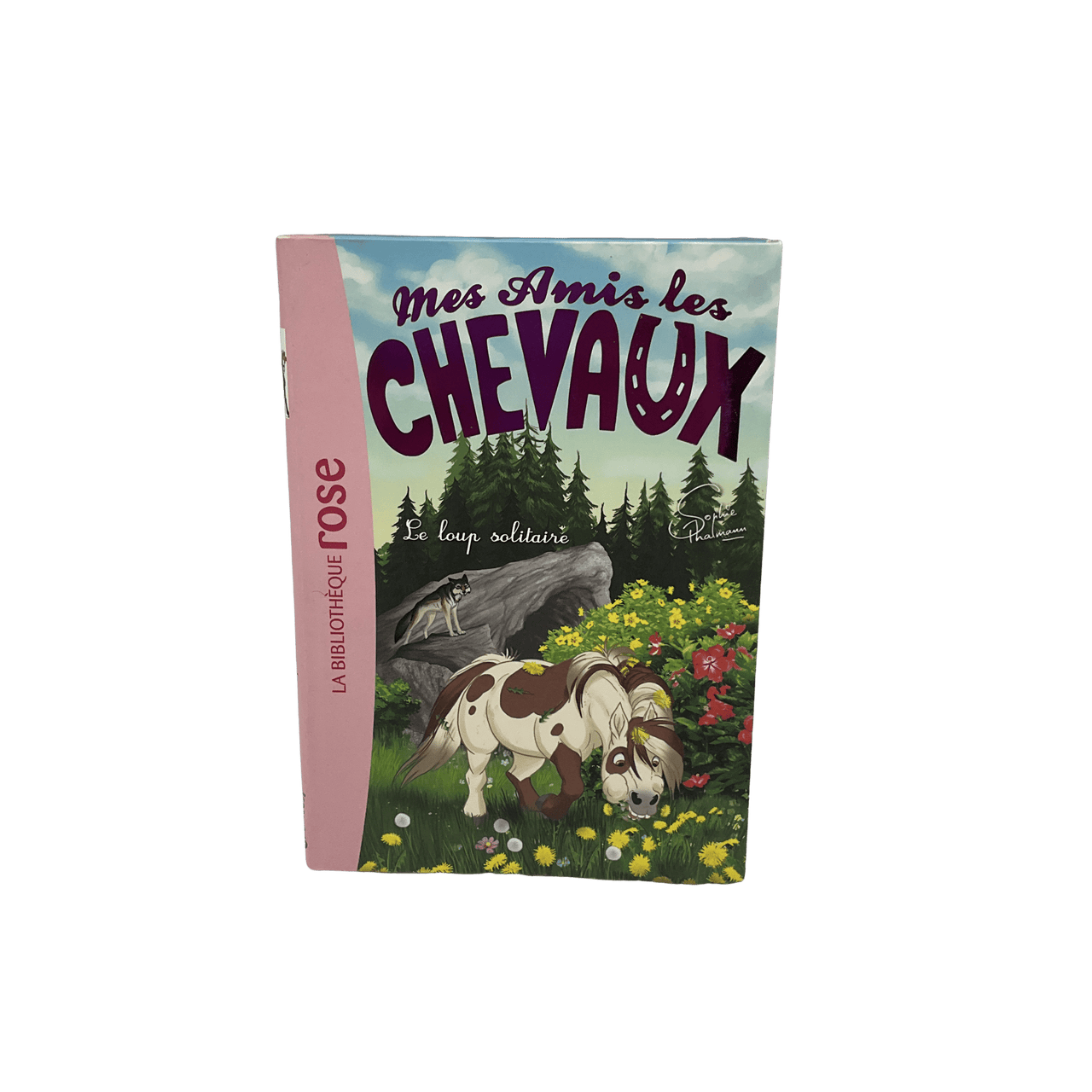 Mes amis les chevaux - Tome 8 - Le loup solitaire - KIDIBAM
