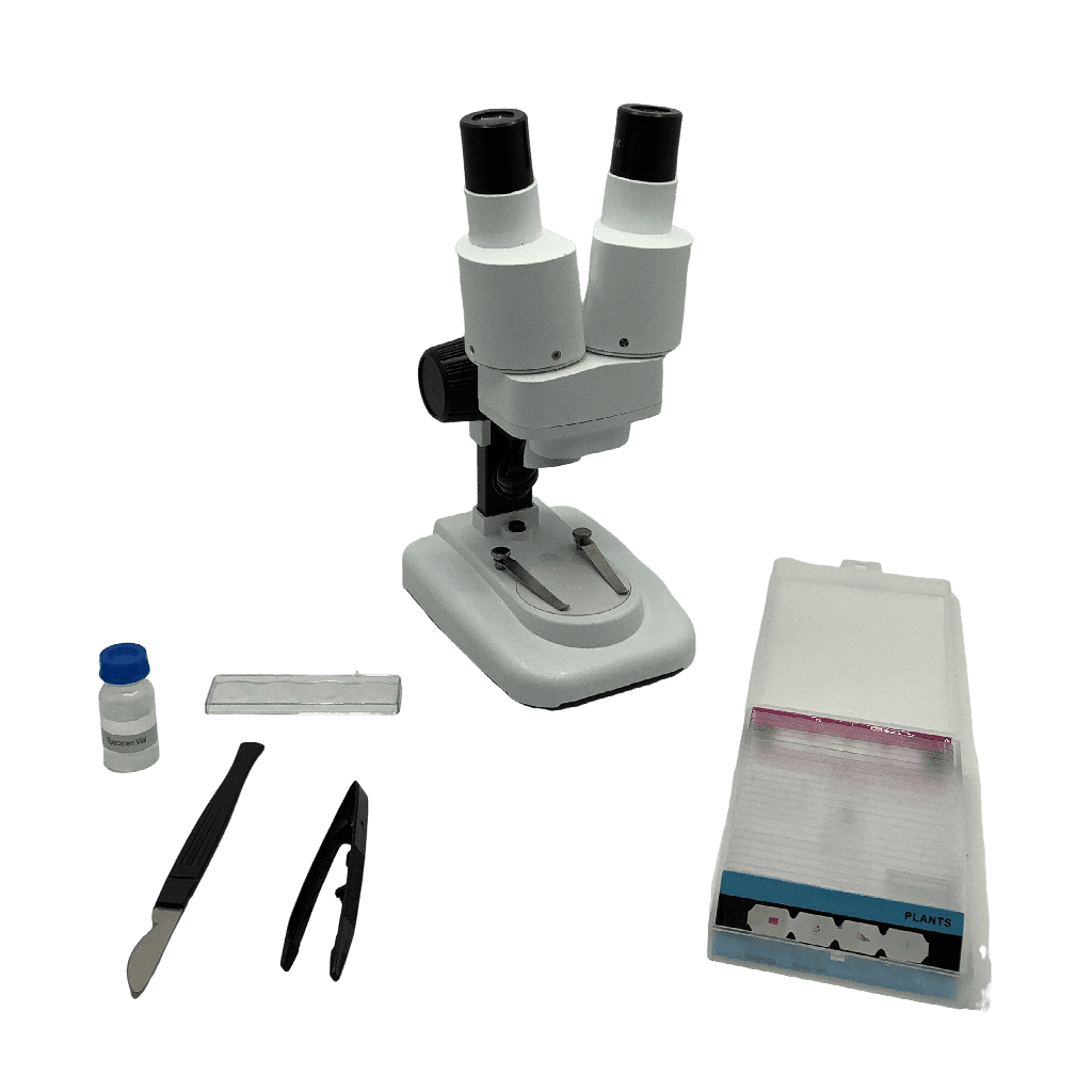 Microscope Stereo Binoculaire - KIDIBAM