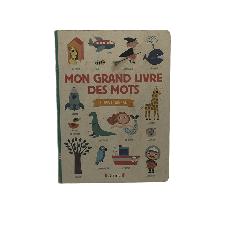 Mon grand livre des mots - KIDIBAM