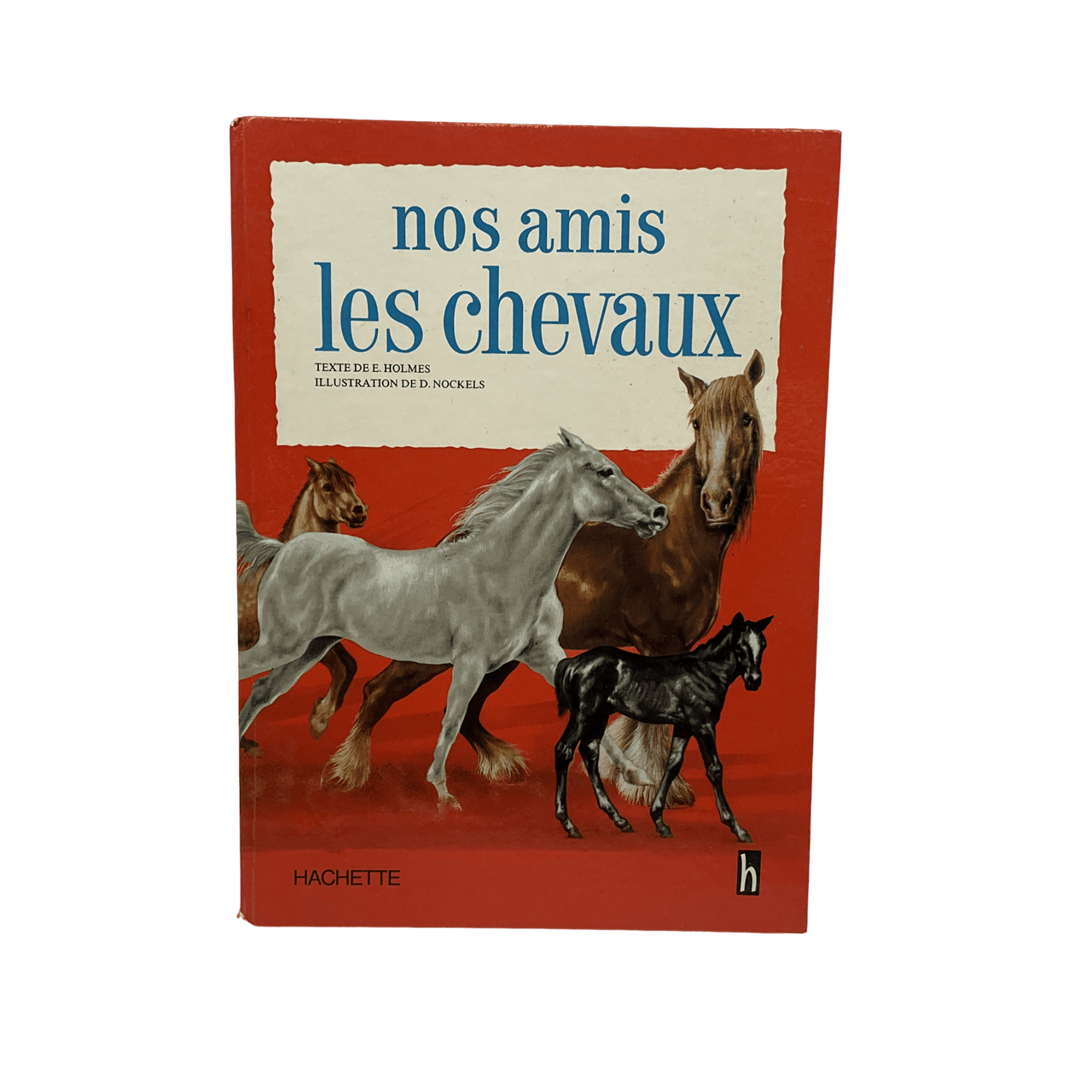 Nos amis les chevaux - KIDIBAM