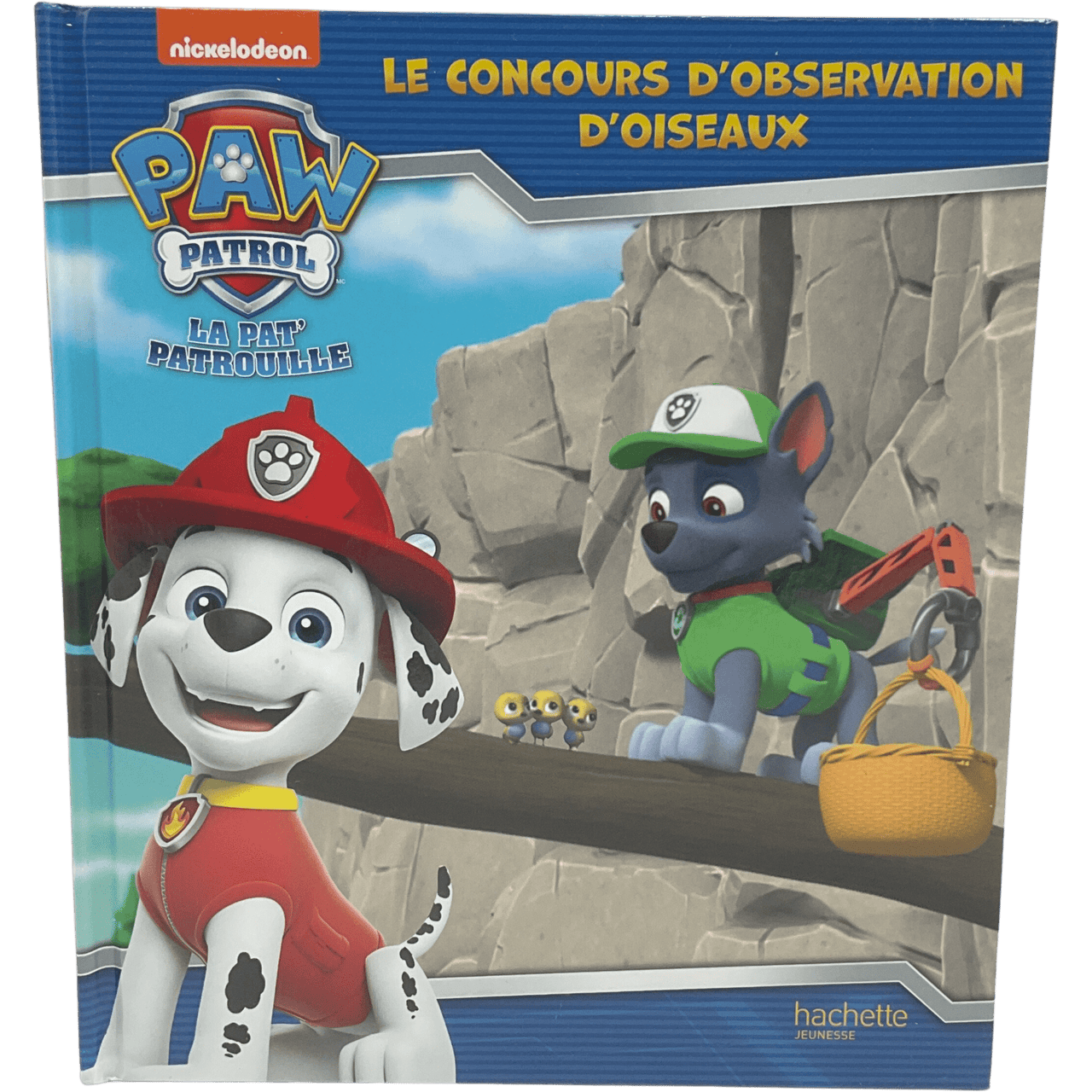 Pat'Patrouille - Le concours d'observation d'oiseaux - KIDIBAM