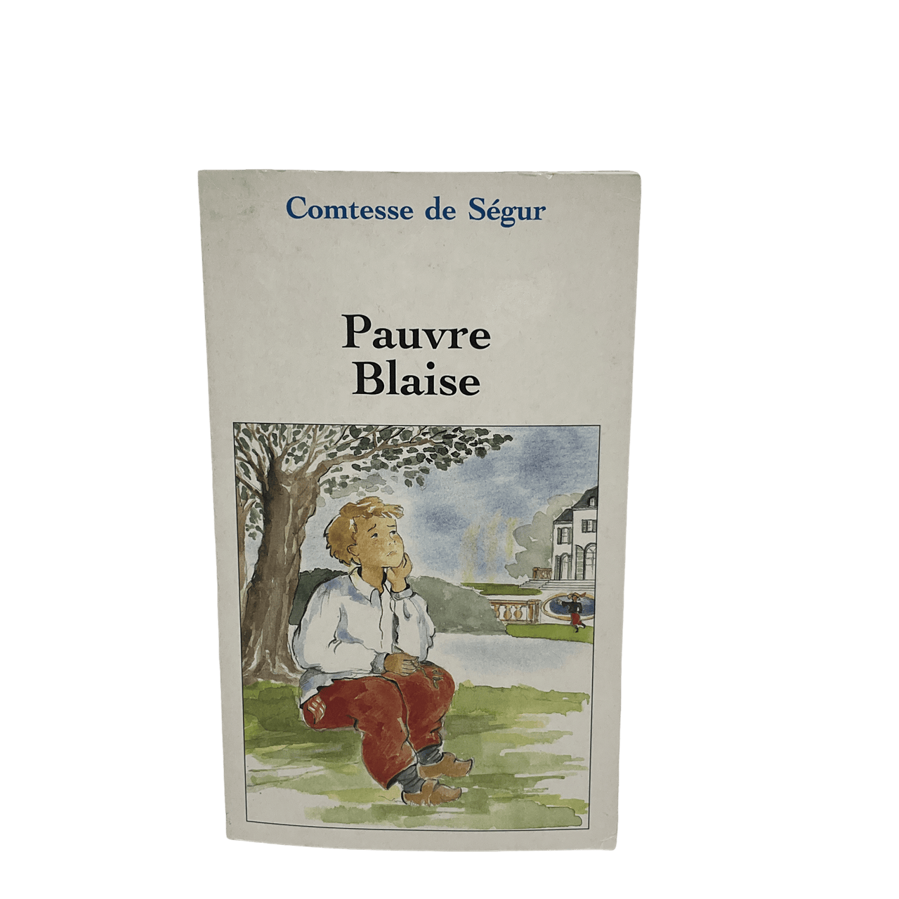 Pauvre Blaise - KIDIBAM