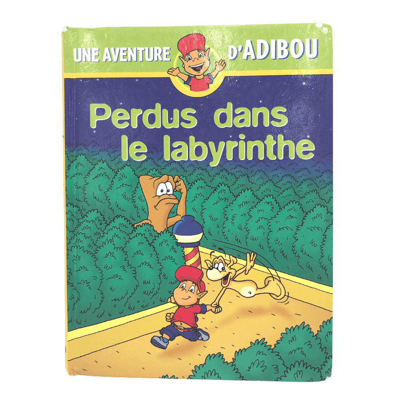 Perdus dans le labyrinthe - KIDIBAM