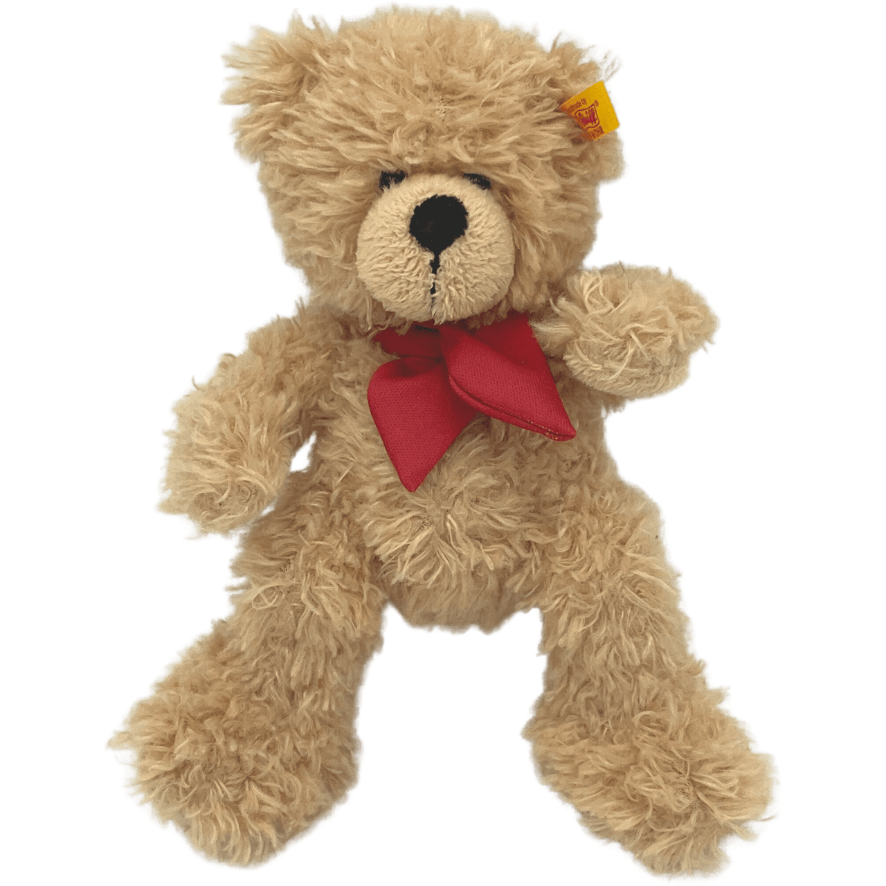 Petit ourson - KIDIBAM