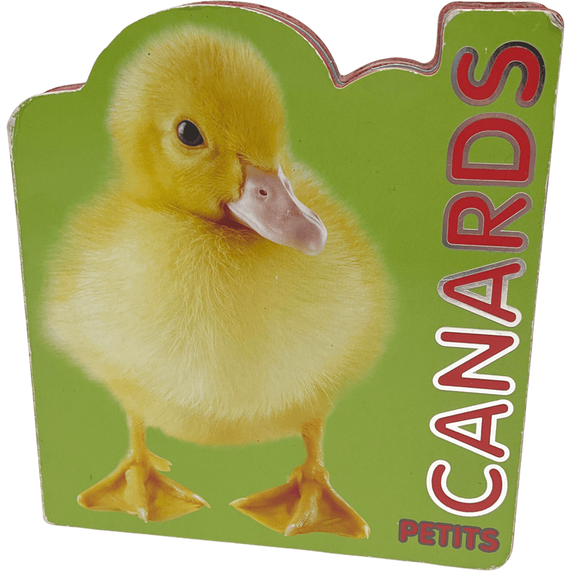 Petits canards - KIDIBAM