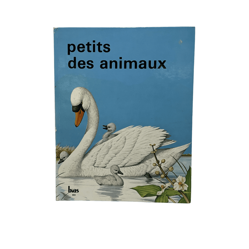 Petits des animaux - KIDIBAM