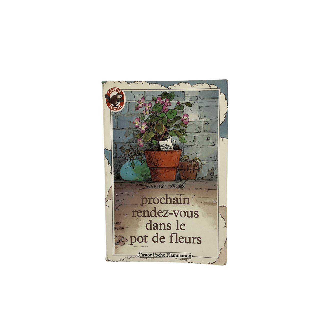 Prochain rendez-vous dans le pot de fleurs - KIDIBAM