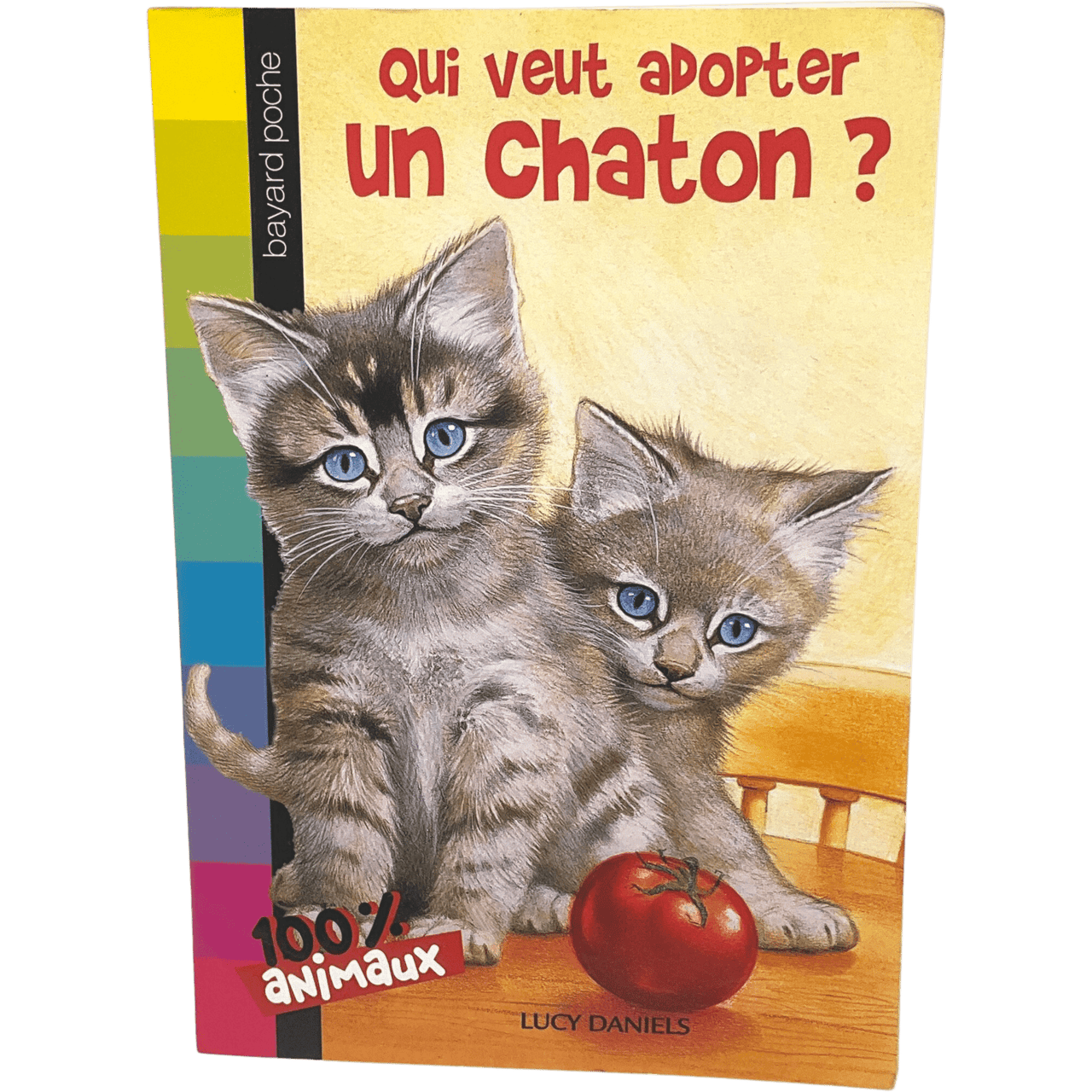Qui veut adopter un chaton ? - KIDIBAM