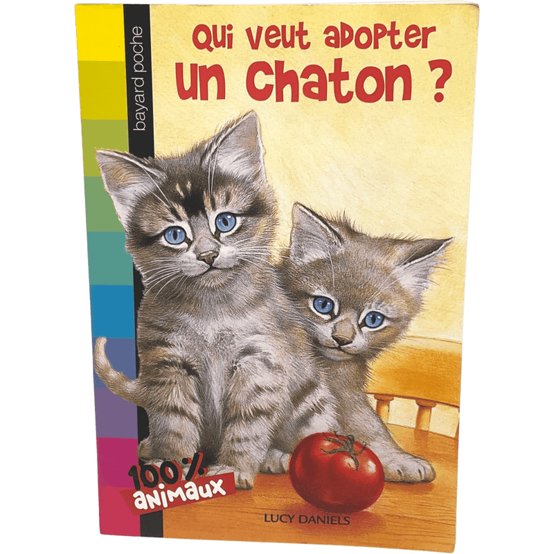 Qui veut adopter un chaton ? - KIDIBAM