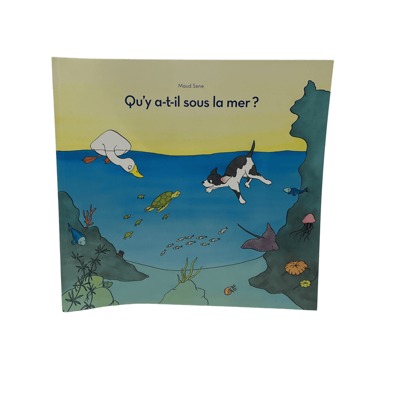 Qu'y a - t - il sous la mer ? - KIDIBAM