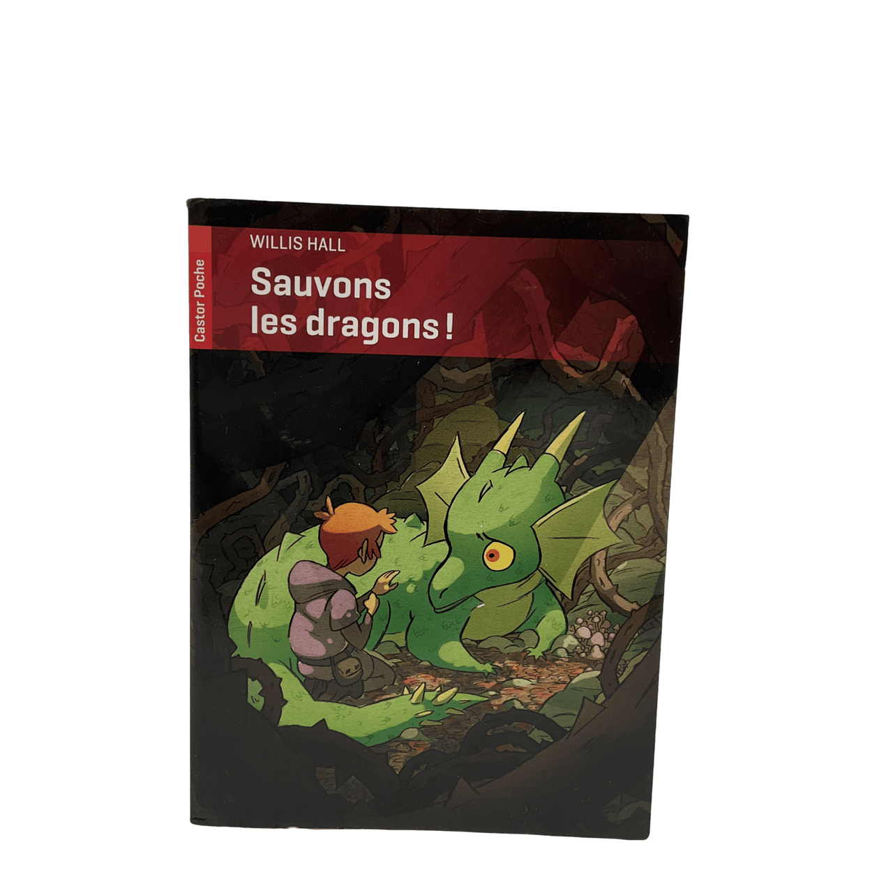 Sauvons les dragons ! - KIDIBAM