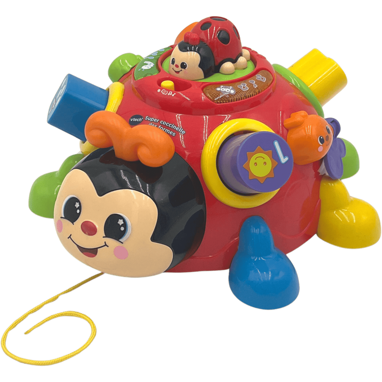 Super coccinelle des formes - KIDIBAM