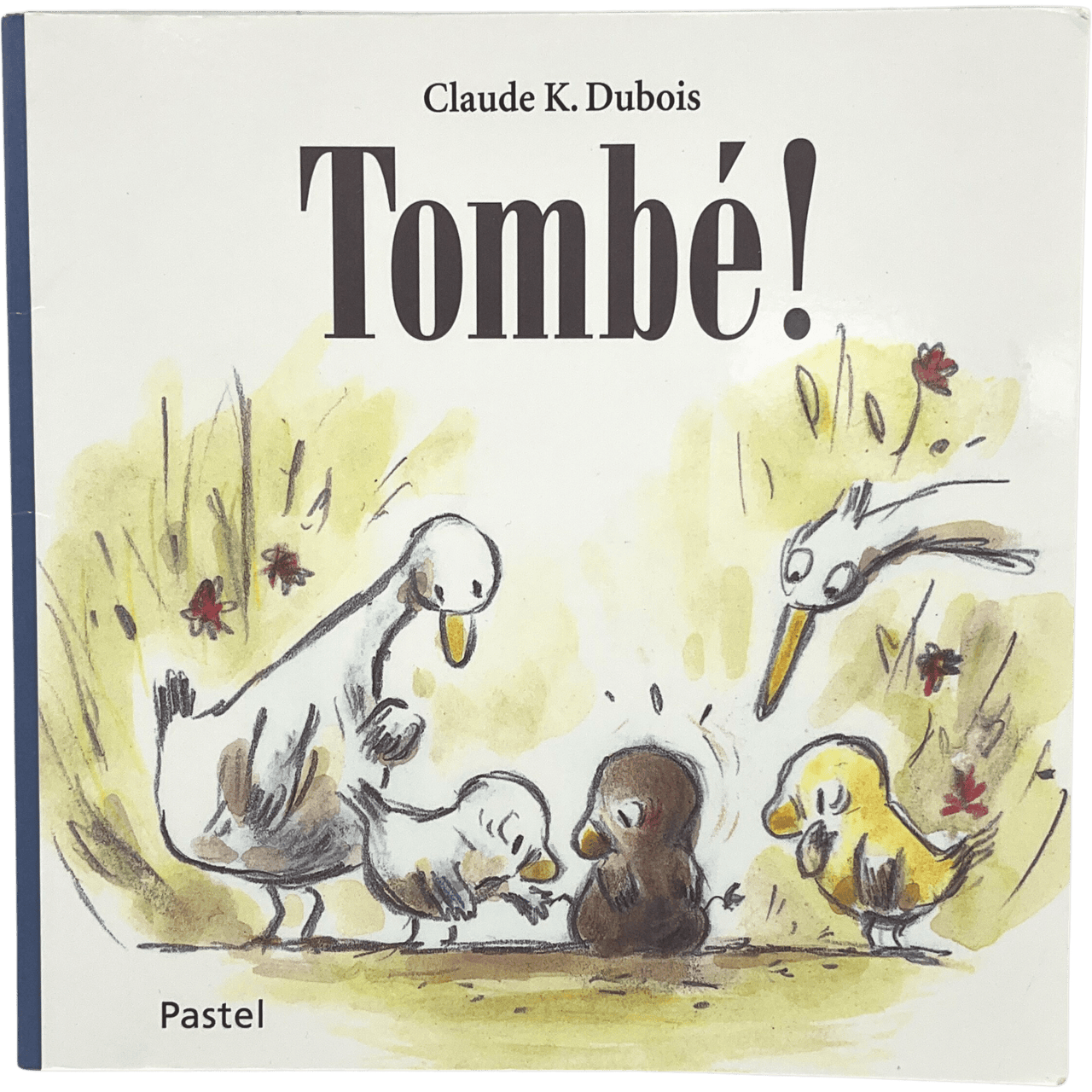 Tombé ! - KIDIBAM