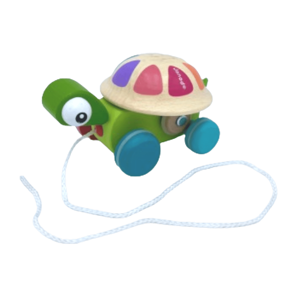Tortue à tirer Zigolo - KIDIBAM