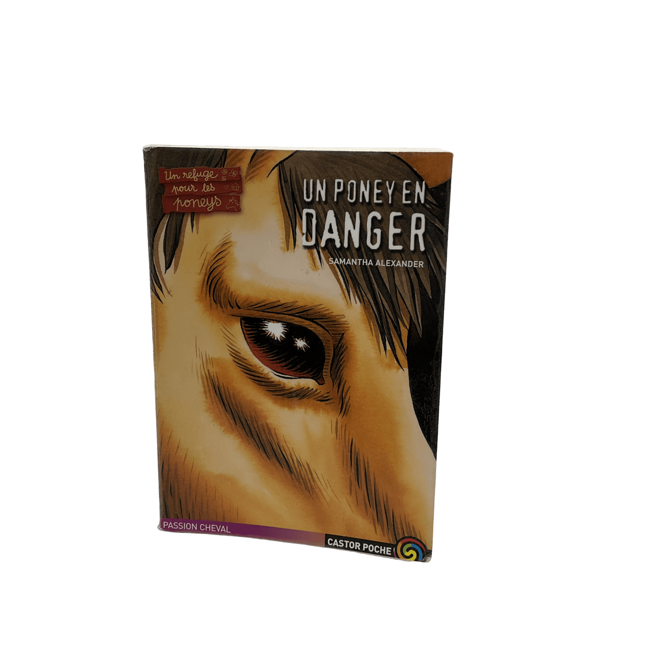 Un poney en danger - KIDIBAM