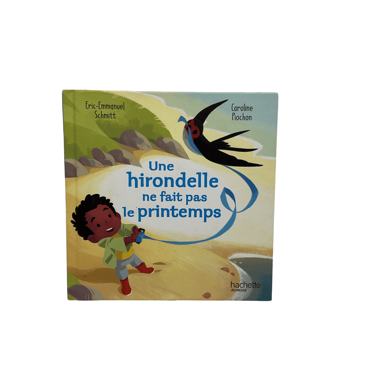 Une Hirondelle Ne Fait Pas Le Printemps - KIDIBAM