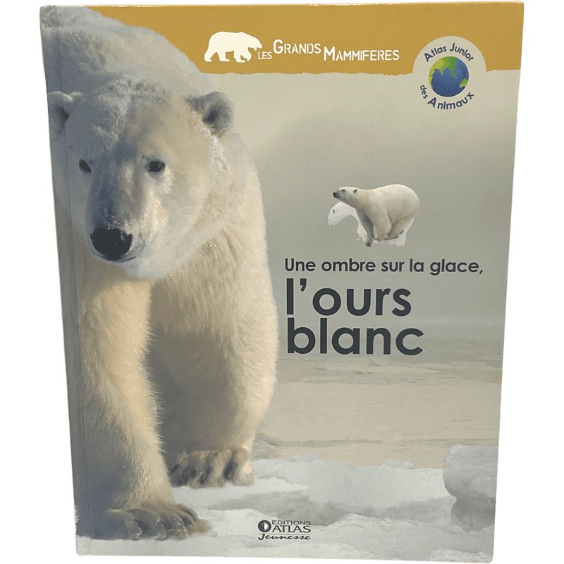 Une ombre sur la glace, l'ours blanc - KIDIBAM