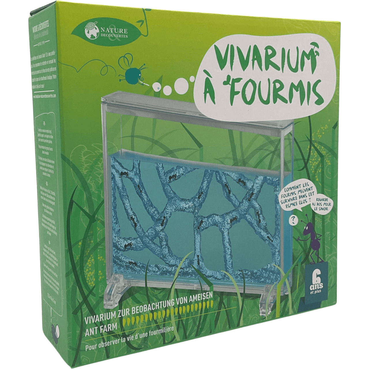 Vivarium à Fourmis - KIDIBAM
