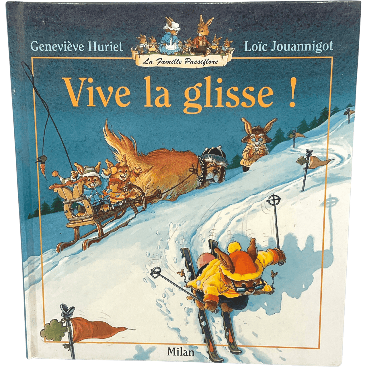 Vive la glisse! - KIDIBAM