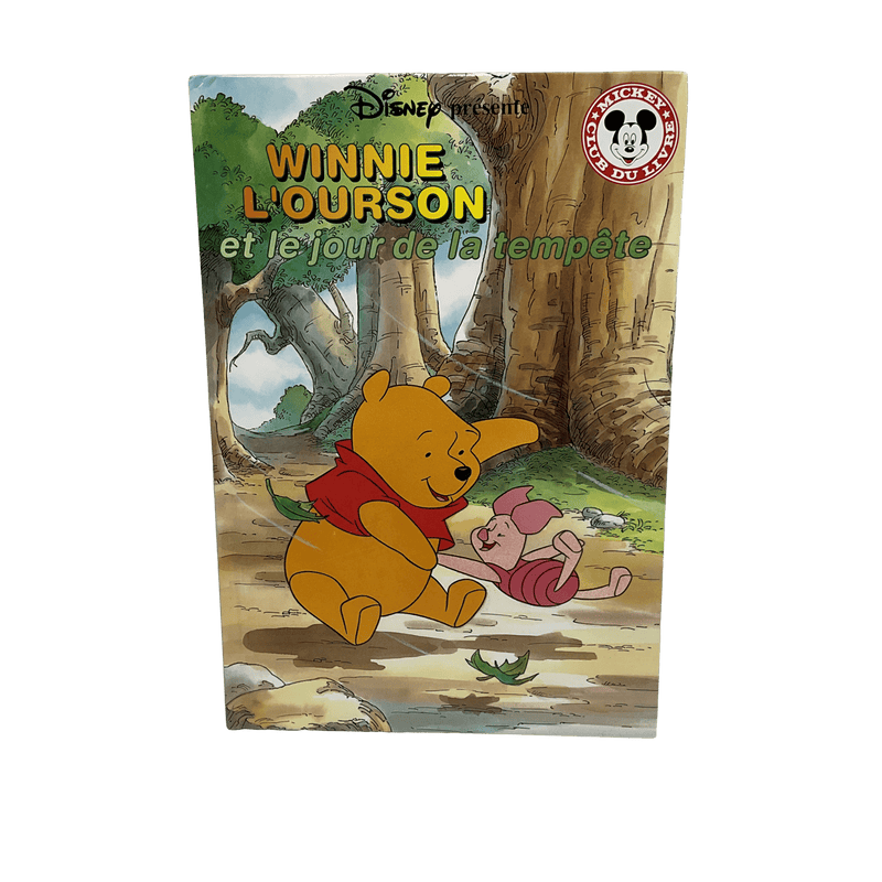 Winnie l'Ourson et le jour de la tempête Disney - KIDIBAM